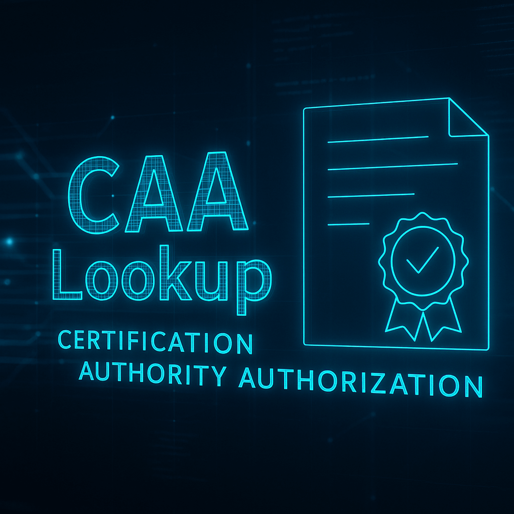 CAA Record lookup showing certificate authority authorization